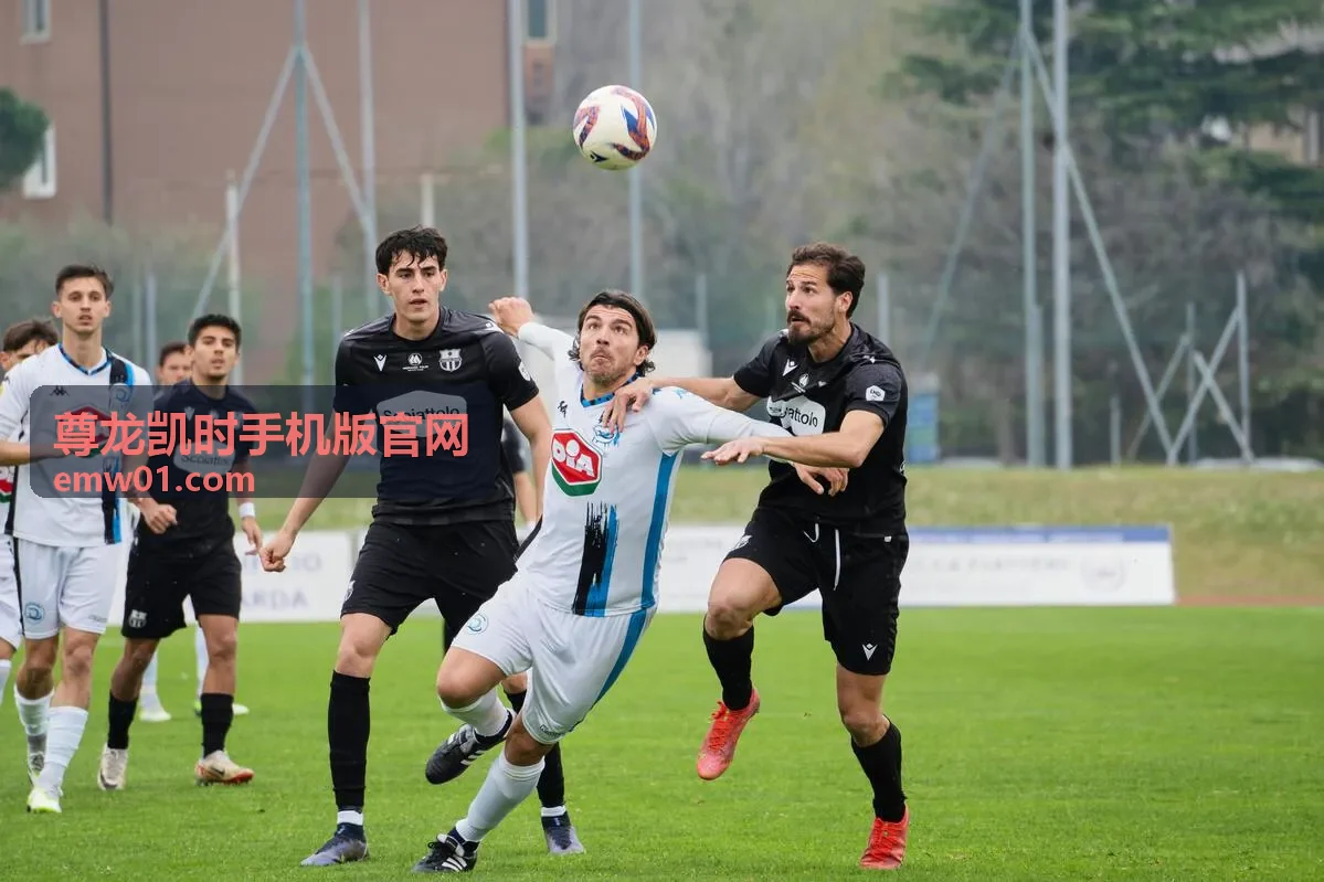 尊龙凯时手机版官网 客户端功能界面快照一