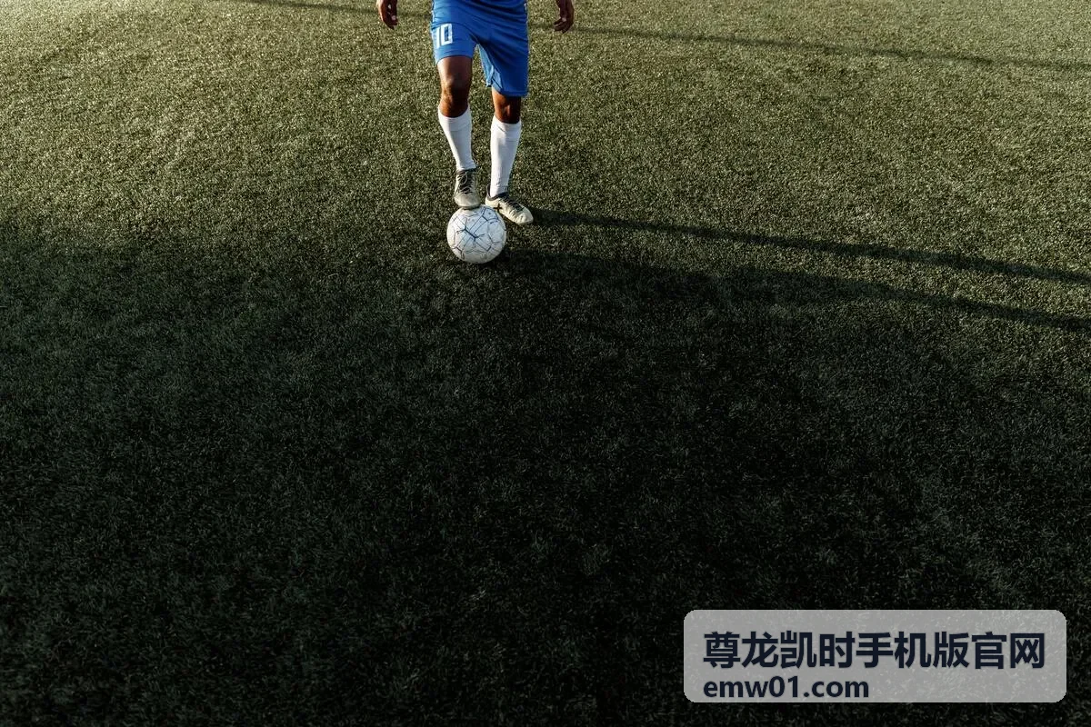 尊龙凯时手机版官网 个人中心页面界面